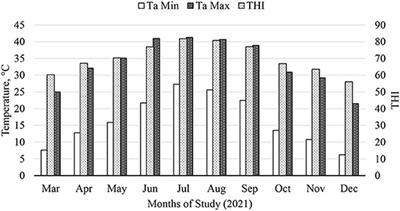 The interaction of feeding an eubiotic blend of essential oils plus 25-hydroxy-vit-D3 on performance, carcass characteristics, and dietary energetics of calf-fed Holstein steers